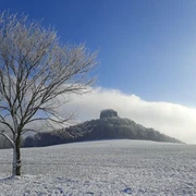 Blick vom Gasthaus zum Zirkelstein Ein schneebedeckter Baum steht auf einem Feld vor einem bewaldeten Hügel, der von Nebel umgeben ist; der Himmel ist klar und blau.