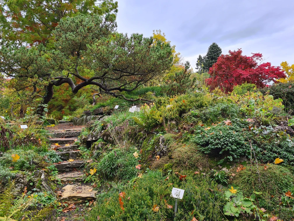 Alter Botanischer Garten Alter Botanischer Garten