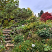 Alter Botanischer Garten Alter Botanischer Garten