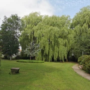 Hintz-Park