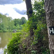 Heidschnuckenweg-Brunausee-ccbysa-foto©bispingen-touristik.jpeg