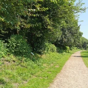 Naturlehrpfad Kirchsteig