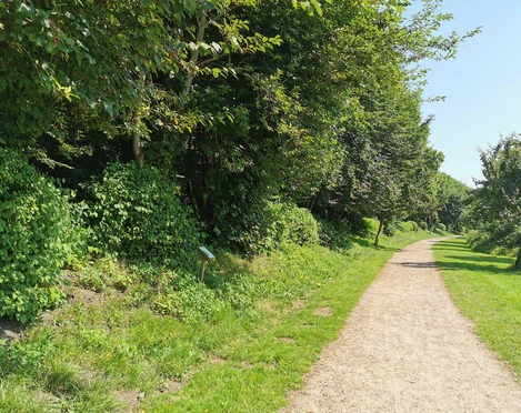 Naturlehrpfad Kirchsteig