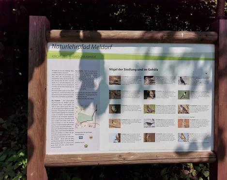 Naturlehrpfad Kirchsteig