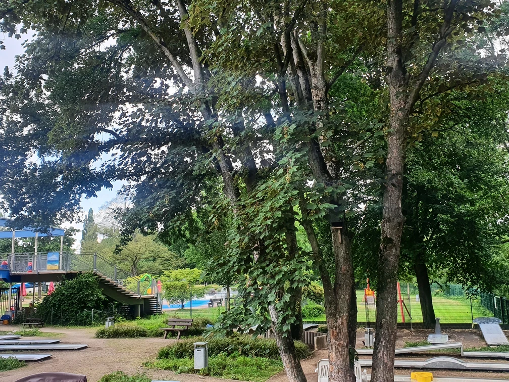 Minigolf auf Grafenwerth