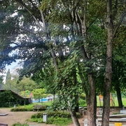 Minigolf auf Grafenwerth