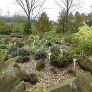 Gras-Ellenbach-Kräutergarten-SA.jpg