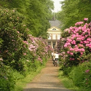 Schlossgarten Hagenburg Eine Gruppe Radfahrer fährt einen blühenden Rhododendrenweg entlang, der zu einem Herrenhaus führt.