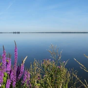 Naturpark Steinhuder Meer