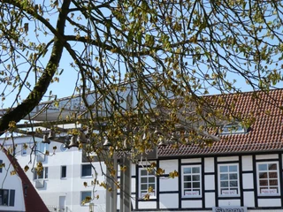 Das Glockenspiel in Achim befindet sich unter einem Baum und ist umgeben von Fachwerkgebäuden.