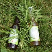 Erfrischungsgetränke von Königs NHA UG aus Mettmann Zwei NHA Tee-Flaschen liegen auf Gras, umgeben von Hanfblättern.
