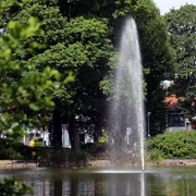 001HR - Bad Wildungen - Kurpark Teich.JPG