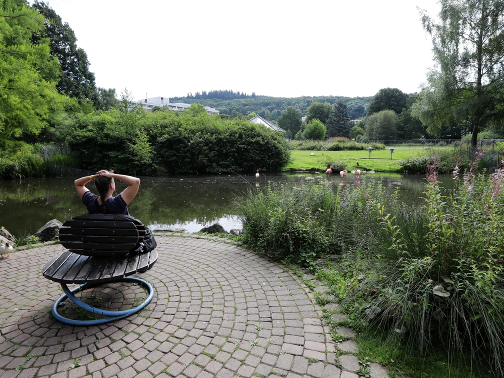 025HR - Bad Wildungen - Kurpark Teich.JPG