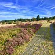 Weg auf dem Kahlen Pön