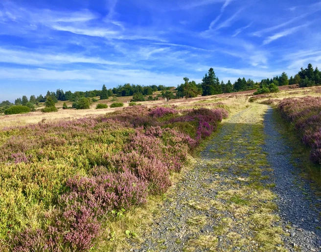 Weg auf dem Kahlen Pön