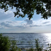 Steinhuder Meer Ein weiter Blick auf das Steinhuder Meer, von Bäumen eingerahmt, das Sonnenlicht funkelt im Wasser.