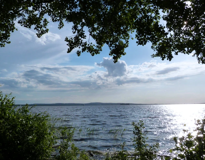 Steinhuder Meer Ein weiter Blick auf das Steinhuder Meer, von Bäumen eingerahmt, das Sonnenlicht funkelt im Wasser.