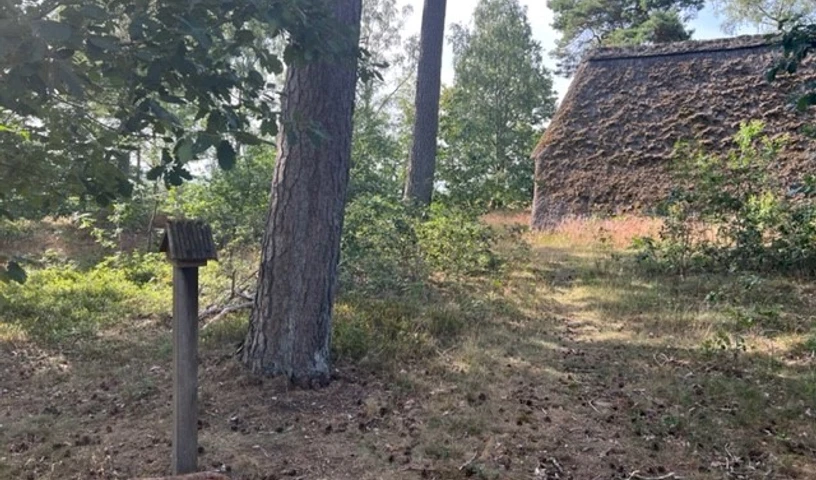 Stempelhäuschen Behringer Heide-Ansicht-ccbysa-foto©bispingen-touristik.jpg