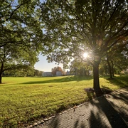 MüGa / Darlington-Park, Mülheim an der Ruhr Licht- und Schattenspiel: Sonnenstrahlen, die durch die Bäume im MüGa-Park scheinen