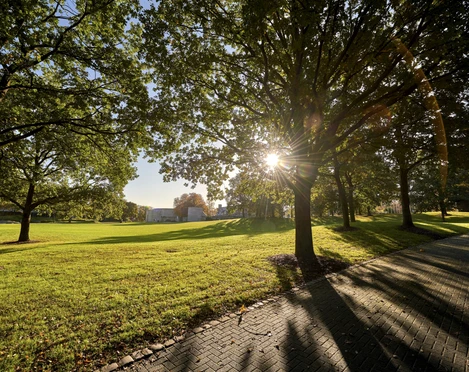 MüGa / Darlington-Park, Mülheim an der Ruhr Licht- und Schattenspiel: Sonnenstrahlen, die durch die Bäume im MüGa-Park scheinen