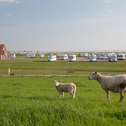 POI_Stellplatz an den Dünen_Stöver.jpg