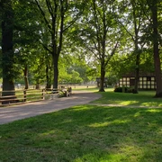 Grüne Wiese mit Bäumen und Fachwerkgebäuden im Sonnenlicht, angenehme Atmosphäre im Museumshof.