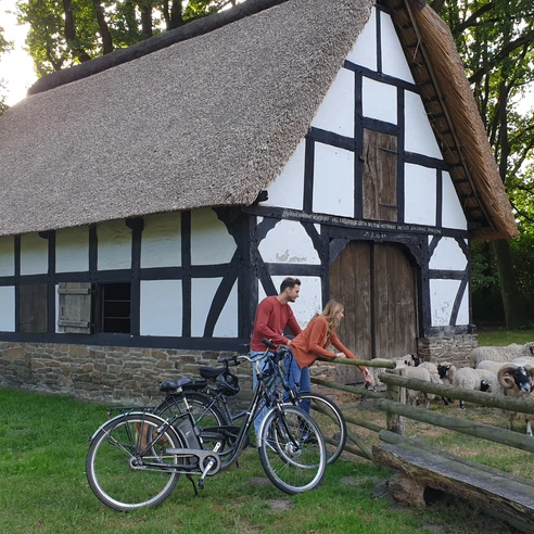 Museumshof Rahden Fachwerkhaus mit Strohdach, umgeben von Schafen, Bäumen und zwei Fahrrädern auf einer Wiese.