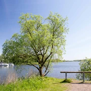 Hooksmeer Jogging Route