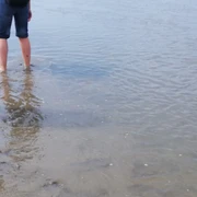 Gezeiten.jpg Einsetzende Flut