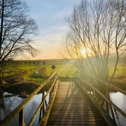Terrainkur Natur