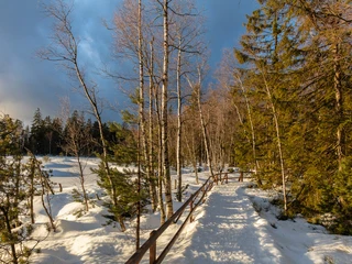 Bohlen am Kaltenbronn