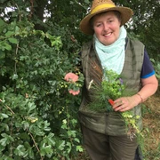 Kräuterwanderung mit Marianne Radtke Marianne Radtke hält stolz eine Auswahl an frischen Kräutern, umgeben von üppigem Grün in der Natur.