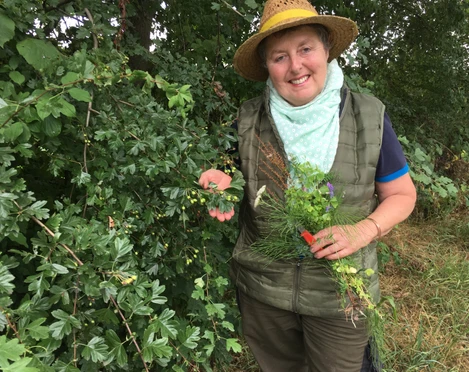 Kräuterwanderung mit Marianne Radtke Marianne Radtke hält stolz eine Auswahl an frischen Kräutern, umgeben von üppigem Grün in der Natur.