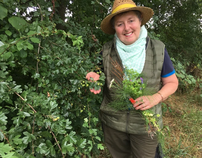 Kräuterwanderung mit Marianne Radtke Marianne Radtke hält stolz eine Auswahl an frischen Kräutern, umgeben von üppigem Grün in der Natur.