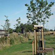 Klimapark-RegionMeldorfAktiv.jpg