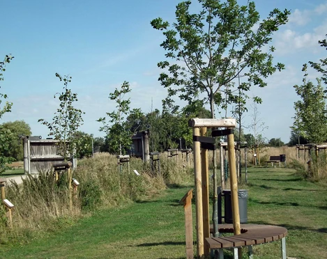 Klimapark-RegionMeldorfAktiv.jpg