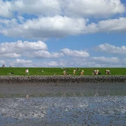 Hundestrand-Nordermeldorf-Speicherkoog-JHanssen.jpg