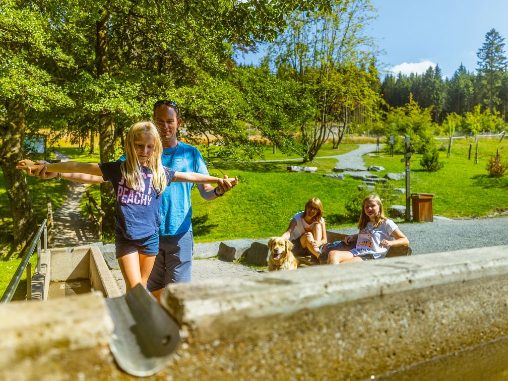 familie-tretbecken-diemelquelle c) david-heise-tourist-information-willingen.jpg