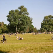 Cologne green belt Menschen entspannen und genießen die Sonne in einem weitläufigen Park mit grünen Wiesen und großen Bäumen, während ein paar Fahrräder auf der Wiese geparkt sind. Im Vordergrund fährt jemand mit dem Fahrrad entlang.People relax and enjoy the sun in a spacious park with green meadows and large trees, while a few bicycles are parked on the lawn. In the foreground, someone is riding along on a bicycle.