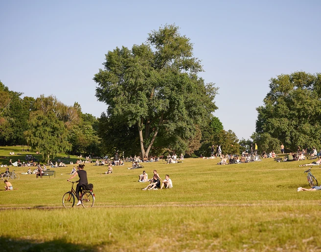 Cologne green belt Menschen entspannen und genießen die Sonne in einem weitläufigen Park mit grünen Wiesen und großen Bäumen, während ein paar Fahrräder auf der Wiese geparkt sind. Im Vordergrund fährt jemand mit dem Fahrrad entlang.People relax and enjoy the sun in a spacious park with green meadows and large trees, while a few bicycles are parked on the lawn. In the foreground, someone is riding along on a bicycle.