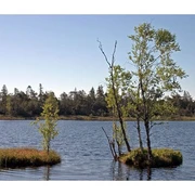 Wildsee Kaltenbronn Infozentrum