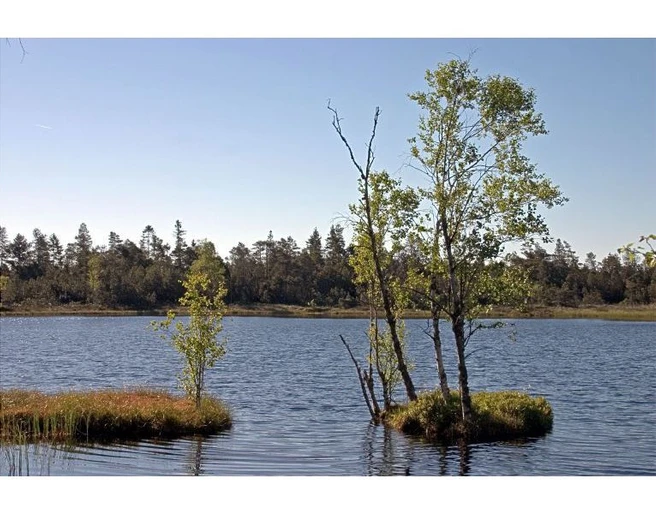 Wildsee Kaltenbronn Infozentrum