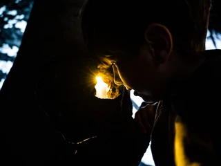 Der Lichtschein verlockt dazu, diese Baumhöhle einmal näher zu betrachten.