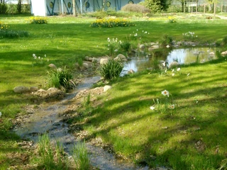 Kurpark Löwensprudel (4).JPG