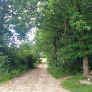 unterwegs am Karl-Bachler-Weg unterhalb des Vierenberges