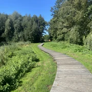Schmaler Holzsteg schlängelt sich durch eine grüne, dicht bewachsene Landschaft unter klarem Himmel.