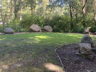 Formation von Findlingen Große Findlinge liegen auf einer von Bäumen gesäumten Wiese und bieten einen harmonischen Anblick.