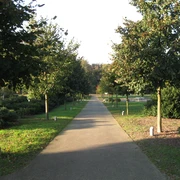 Herminhauspark in Velbert Durch eine Baumallee führt ein asphaltierter Gehweg, flankiert von gepflegten Grünflächen.