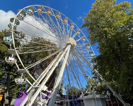Riesenrad Ein weißes Riesenrad erhebt sich vor einem klaren blauen Himmel, umgeben von grünen Bäumen.