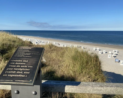 Kunststele Carl Zuckmayer